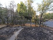 Հասարակական կառուցապատման հողատարածք, Աջափնյակ, Երևան