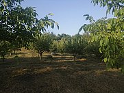Сельскохозяйственный участок, Гарни, Котайк