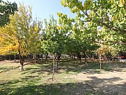 Սրճարան, Մալաթիա-Սեբաստիա, Երևան