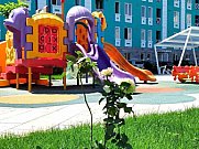 Apartment, 2 room, Shengavit, Yerevan
