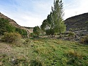 Գյուղատնտեսական հողատարածք, Նուռնուս, Կոտայք