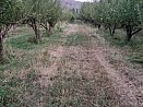Buildable land, Garni, Kotayk