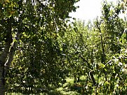 Առանձնատուն, 1 հարկանի, Օհանավան, Արագածոտն