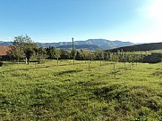 Cattle farm, Stepanavan, Lori