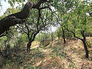 Առանձնատուն, 2 հարկանի, Պտղնի, Կոտայք