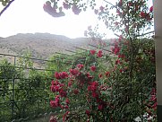 Ամառանոց, 3 հարկանի, Պտղնի, Կոտայք
