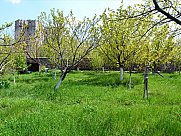 Orchard, Arabkir, Yerevan