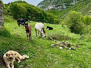 Buildable land, Dilijan, Tavush