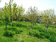 Orchard, Arabkir, Yerevan