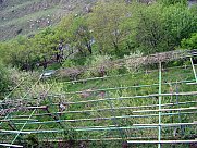 Ամառանոց, 3 հարկանի, Պտղնի, Կոտայք