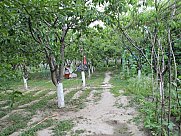 Առանձնատուն, 1 հարկանի, Ավան, Երևան