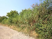 Առանձնատուն, 2 հարկանի, Պտղնի, Կոտայք
