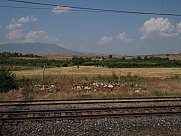 Agricultural land, Proshyan , Kotayk