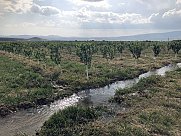 Orchard, Ashtarak, Aragatsotn
