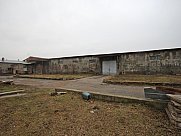Cattle farm, Eghvard, Kotayk