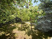 Առանձնատուն, Ձորաղբյուր, Կոտայք