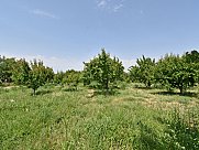 Agricultural land, Nor Xarberd, Ararat
