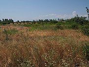 Agricultural land, Proshyan , Kotayk