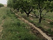 Գյուղատնտեսական հողատարածք, Արմավիր, Արմավիր