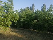 Сельскохозяйственный участок, Гарни, Котайк