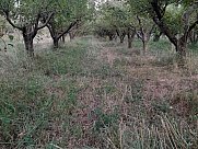 Buildable land, Garni, Kotayk