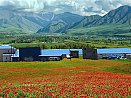 Production area, Tsovaghyugh, Gegharkunik