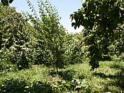 Առանձնատուն, 1 հարկանի, Օհանավան, Արագածոտն