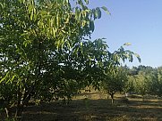 Сельскохозяйственный участок, Гарни, Котайк