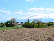 Agricultural land, Paraqar, Armavir