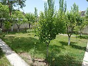 Առանձնատուն, Պտղնի 1, Կոտայք